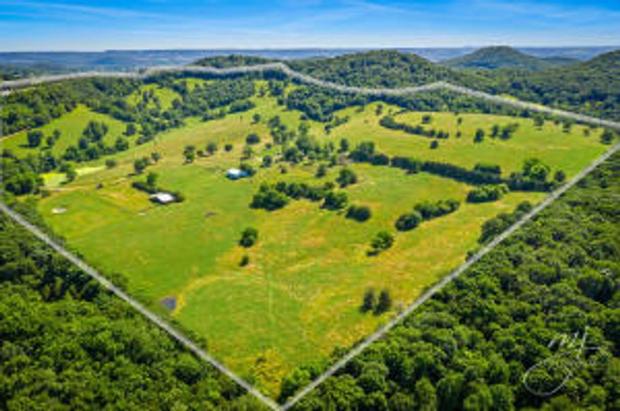 Nice Cattle & Poultry Farm in the Beautiful Ozarks! Located just a couple miles outside of Berryville AR but extremely private end of the road, 172 acres M/L of mostly open land with approx. 25-30 acres of trees, cross fenced, springs, several ponds, drive down the drive that opens up to a valley with home about in the middle. Bring your horses with barn and roping arena, cattle working pens, several outbuildings for equipment, many great building sites with views, close to Table Rock Lake, Beaver Lake, Kings River, and Buffalo River. 45 minutes to Branson MO. House is approx. 1,856 sq.ft. 3BR, 2BA, gas fireplace, central heat & air, and has it's own well. Chicken houses are cool cell tunnel houses with computers, generator, 2 wells, and stacking shed, last birds sold in March of 2021. Pr