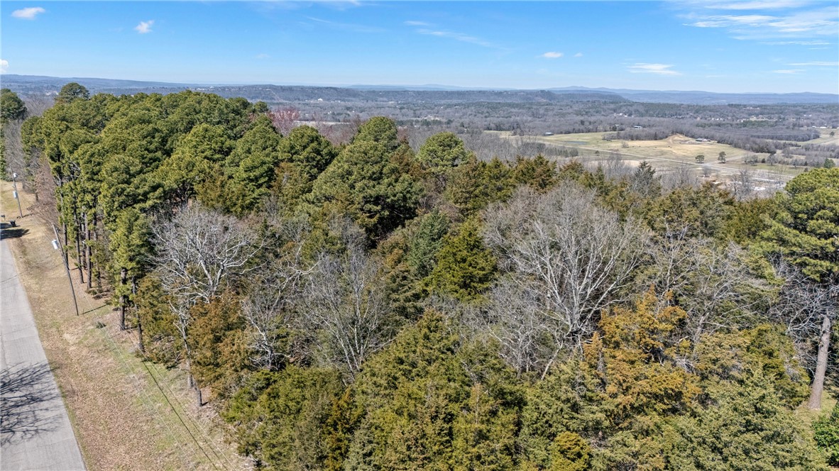 This 4.62-acre lot in Ridgeview Estates (Lot 7) offers stunning valley views and a prime location within the Russellville School District and Center Valley Elementary zone. Just 8 minutes from town and close to I-40 access, this property provides both convenience and a peaceful setting.The front portion features a flat area, ideal for building, while the rear slopes, adding potential for amazing views over Center Valley and Highway 124. This property is a fantastic opportunity!