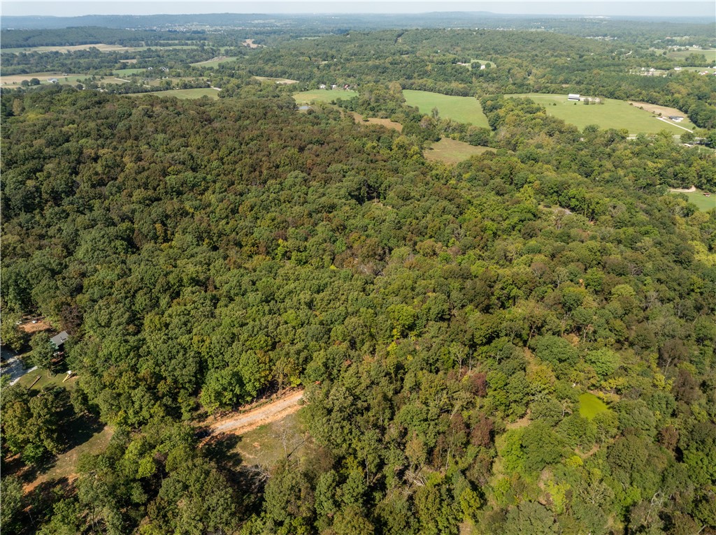 Trammel Mountain Estates - Land