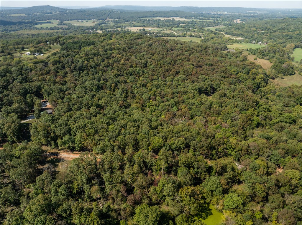 Trammel Mountain Estates - Land