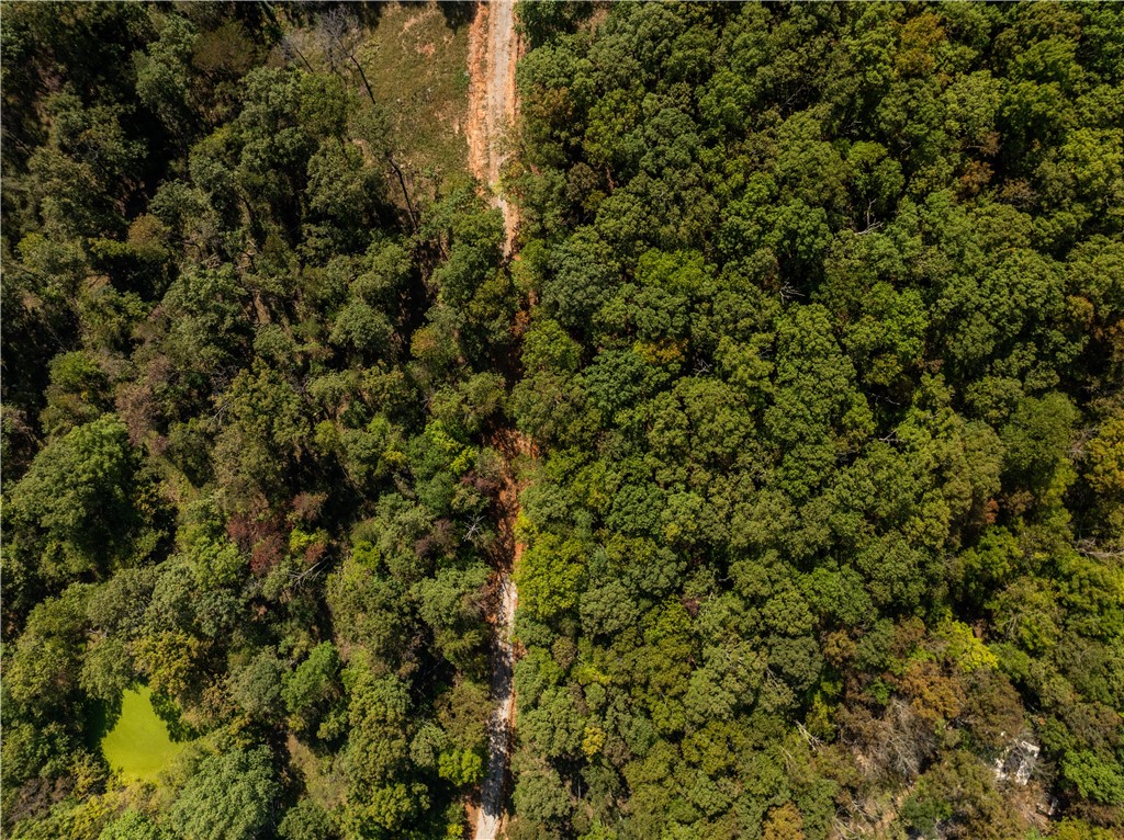 Trammel Mountain Estates - Land