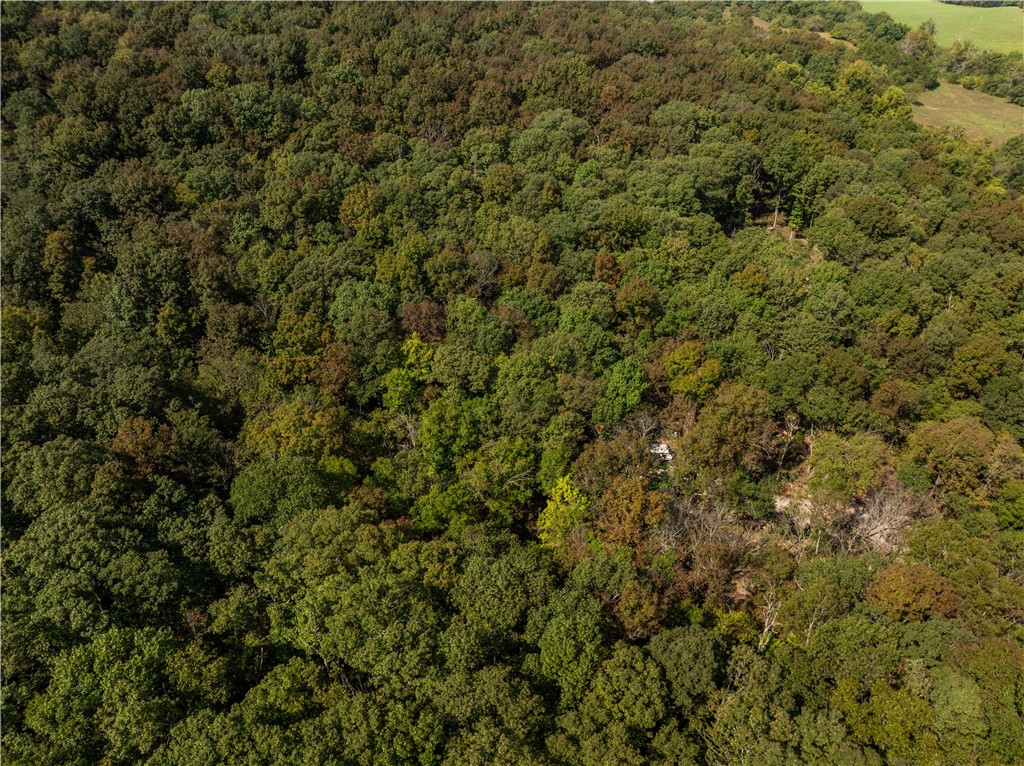 Trammel Mountain Estates - Land