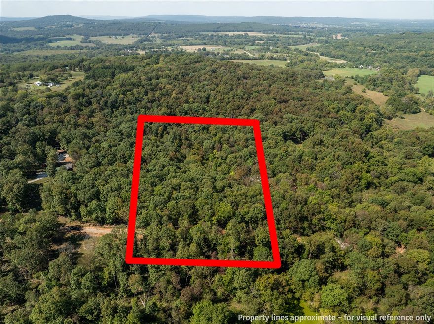 Beautiful rolling wooded acreage! The property is accessed by private dead end drive. The lot overlaps the road so that there will not be anyone building in front of the property. There are so many good building spots off set into the land to get the the best views. There is power at the road, rural water tap approved at the road, and you will need a septic. This is the best season to view this land, it is easily walkable.There are no covenants or restrictions. Use Hwy 74 to access all of Elkins ameniteis or East Fayetteville and Hindsville amenities.
