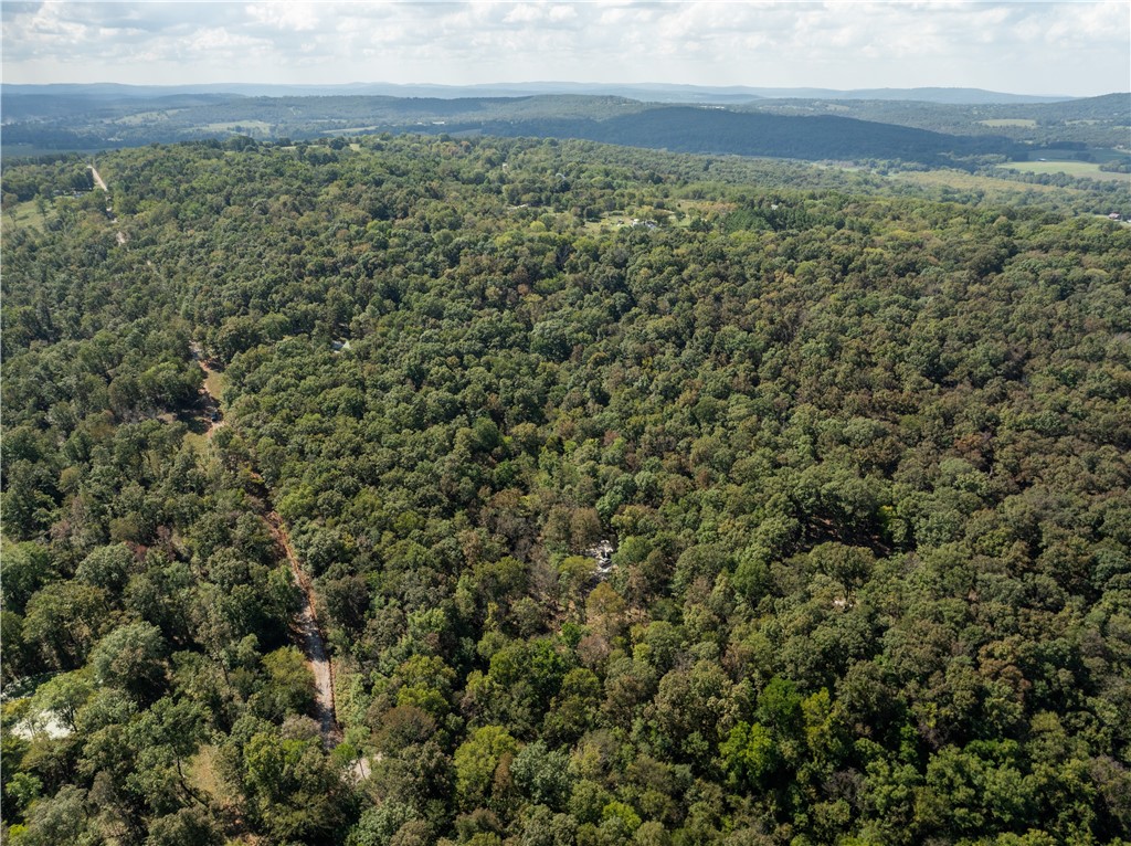 Trammel Mountain Estates - Land