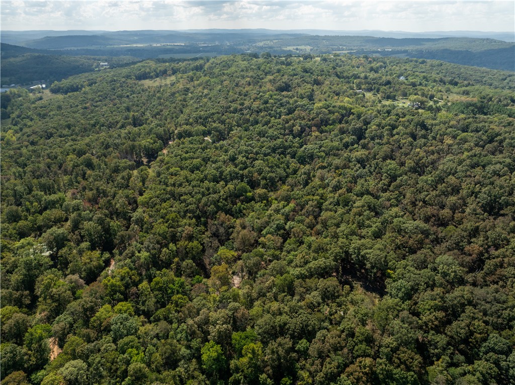 Trammel Mountain Estates - Land