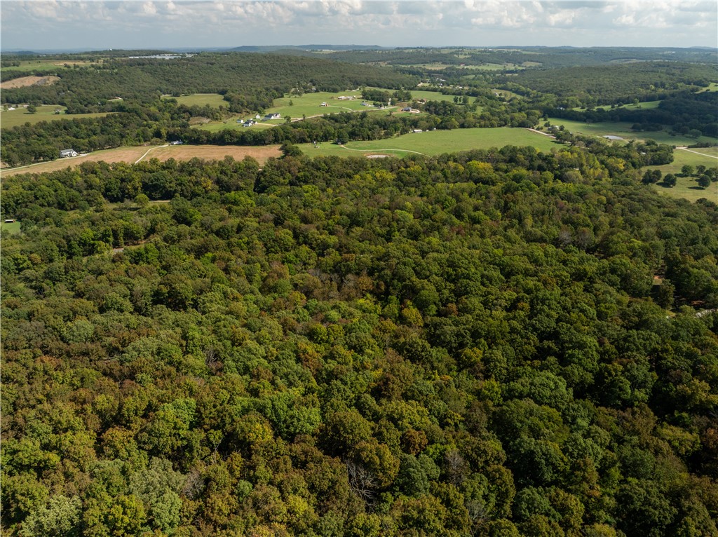 Trammel Mountain Estates - Land