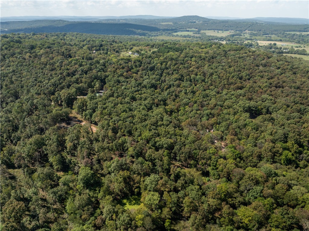 Trammel Mountain Estates - Land