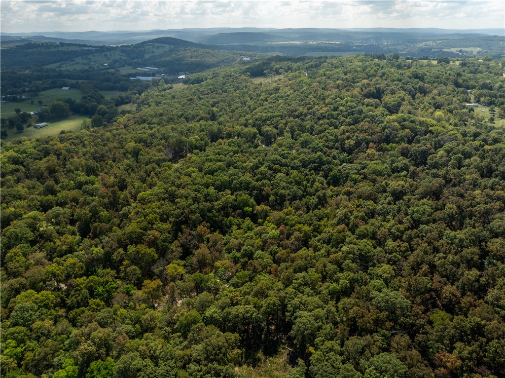 Trammel Mountain Estates - Land