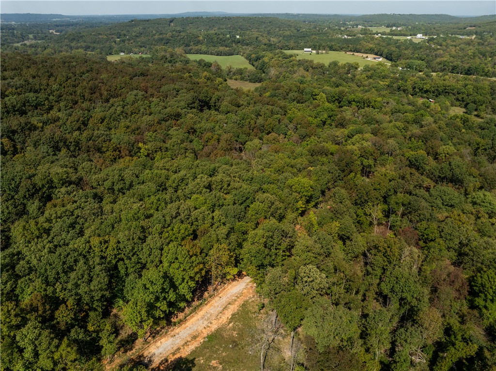 Trammel Mountain Estates - Land