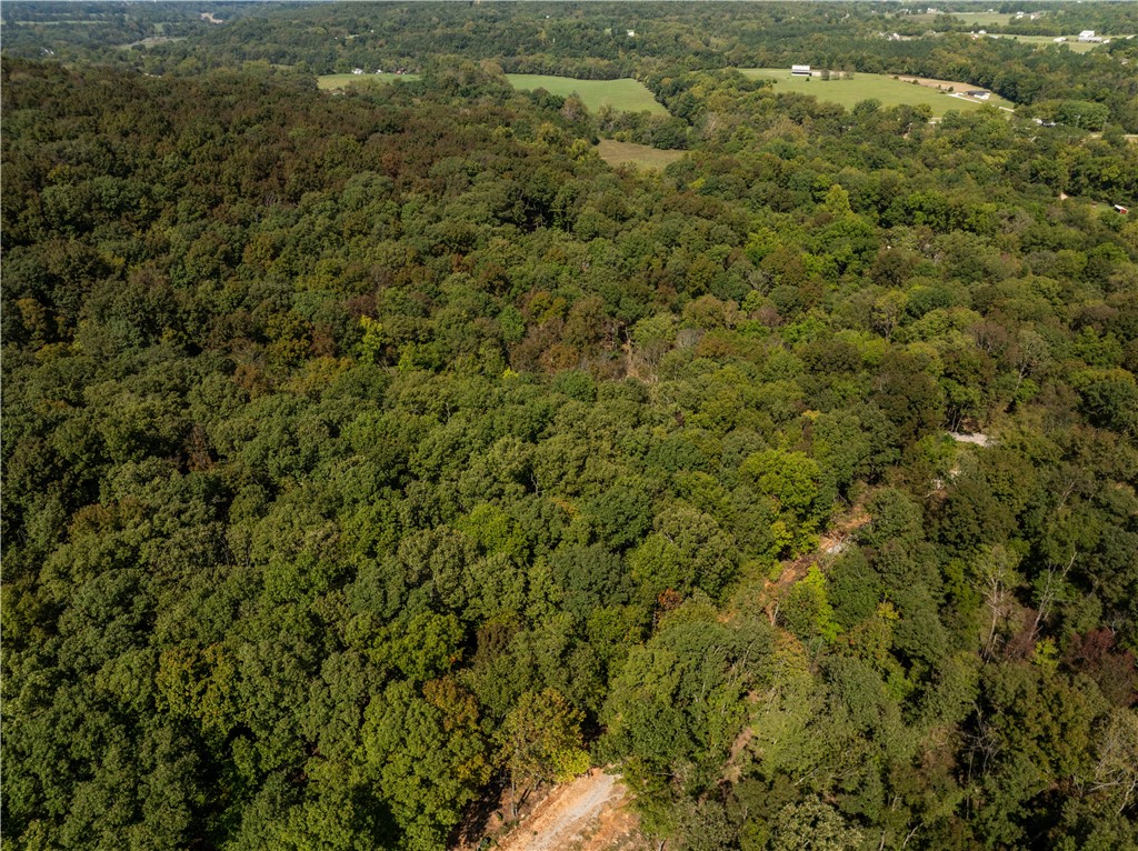 Trammel Mountain Estates - Land
