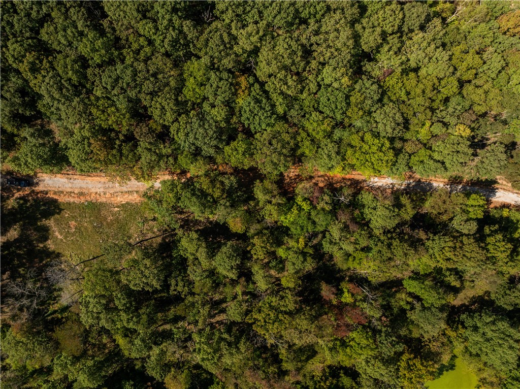 Trammel Mountain Estates - Land