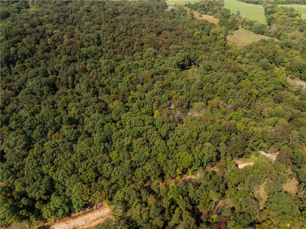 Trammel Mountain Estates - Land