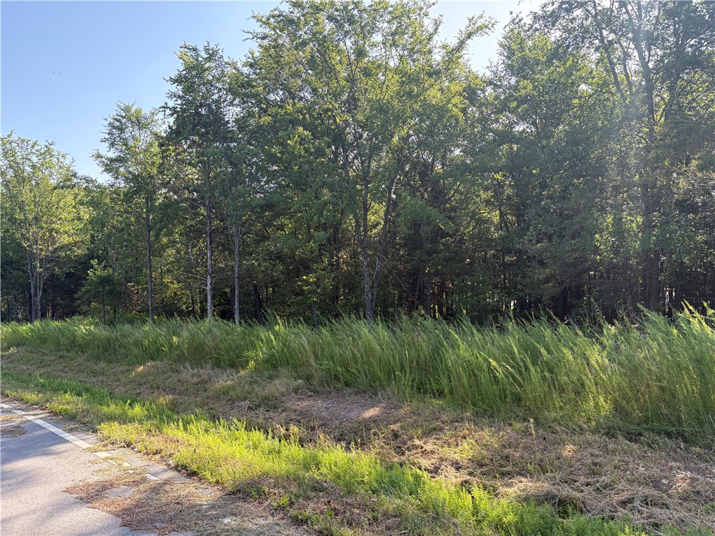 This prime lot in the new TRAIL RIDGE subdivision offers the perfect blend of convenience and nature. Located within a highly rated Bentonville school district, it features buried utilities, sewer access, and high-speed internet. Enjoy the serene, wooded surroundings and easy access to local trails including Tunnel Vision and Little Sugar. Plus, you're close to essential amenities, the Bella Vista Country Club/Golf Course, and Scottsdale Golf Course. Build your dream home with the neighborhood developer or bring your builder. The minimum build size is 1950 sf. This lot is adjacent to the Tunnel Vision trail. Don’t miss out on this unique opportunity in vibrant, growing Bella Vista, AR.