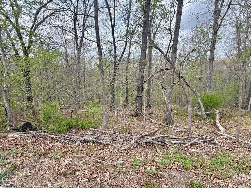 Buildable lot near Lake Avalon and Lake Windsor, Tanyard Creek Nature Trail, Bella Vista Country Club Golf Course and Uphill Both Ways trail!
