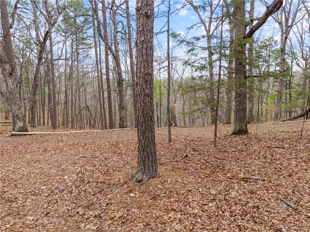 STADIUM ADDITION, PARKHILL ADDITION - Land
