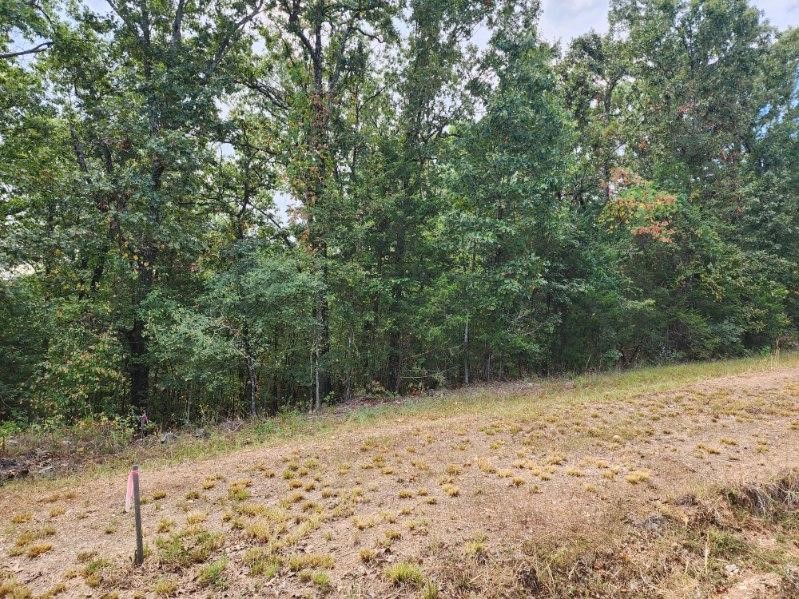 Scott Mountain Unit Ii - Residential