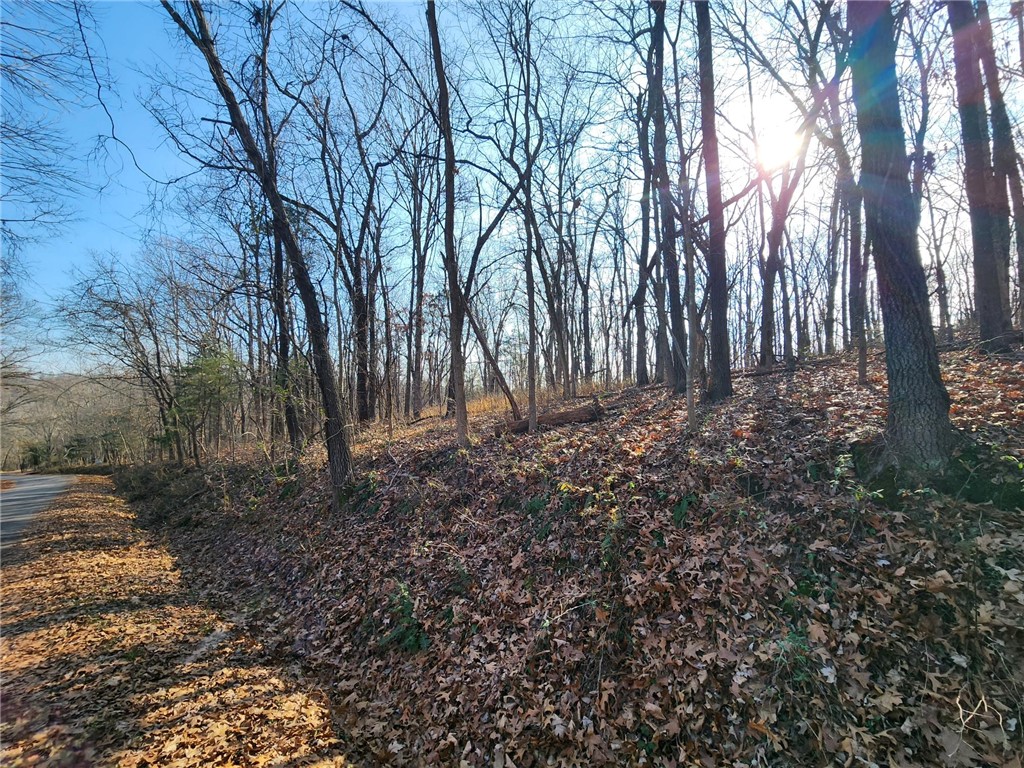 Chelmsworth Sub Bvv - Land