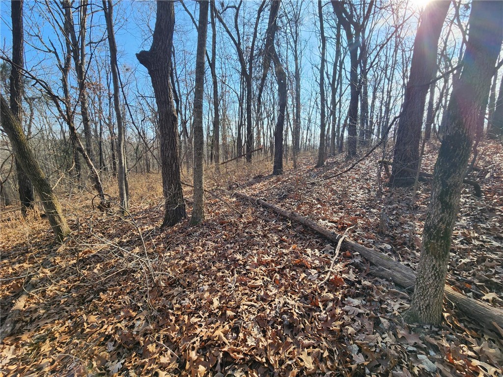 Chelmsworth Sub Bvv - Land