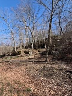 The Bluffs At Jackson Cove - Land