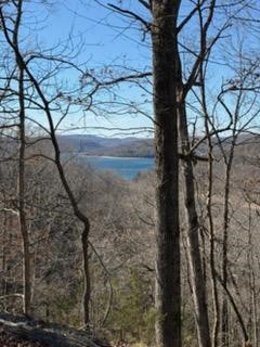 The Bluffs At Jackson Cove - Land