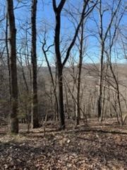 The Bluffs At Jackson Cove - Land