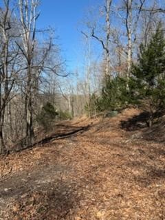 The Bluffs At Jackson Cove - Land