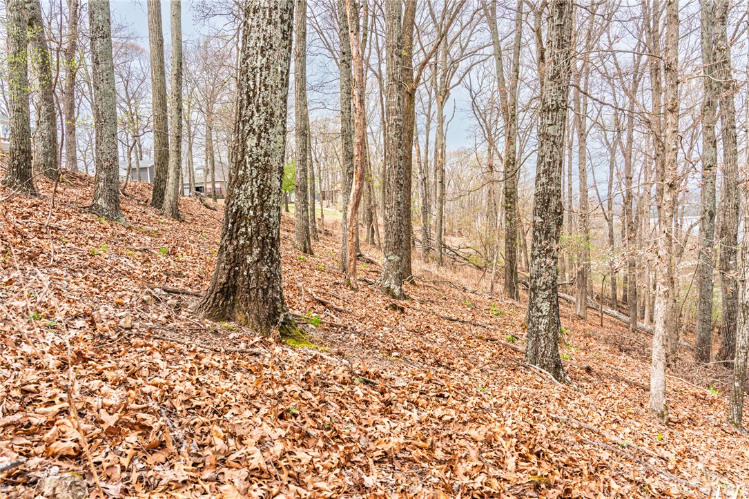 Oak Ridge Park Phase III - Land