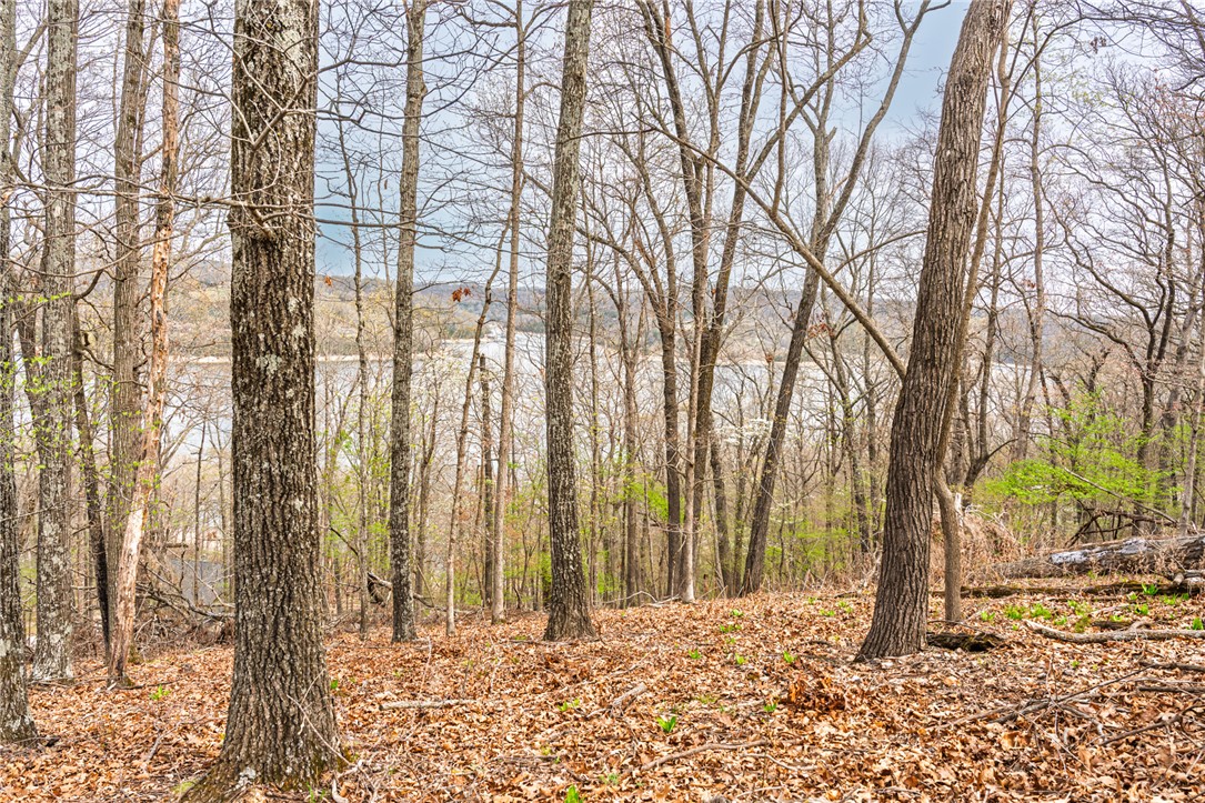 Oak Ridge Park Phase III - Land