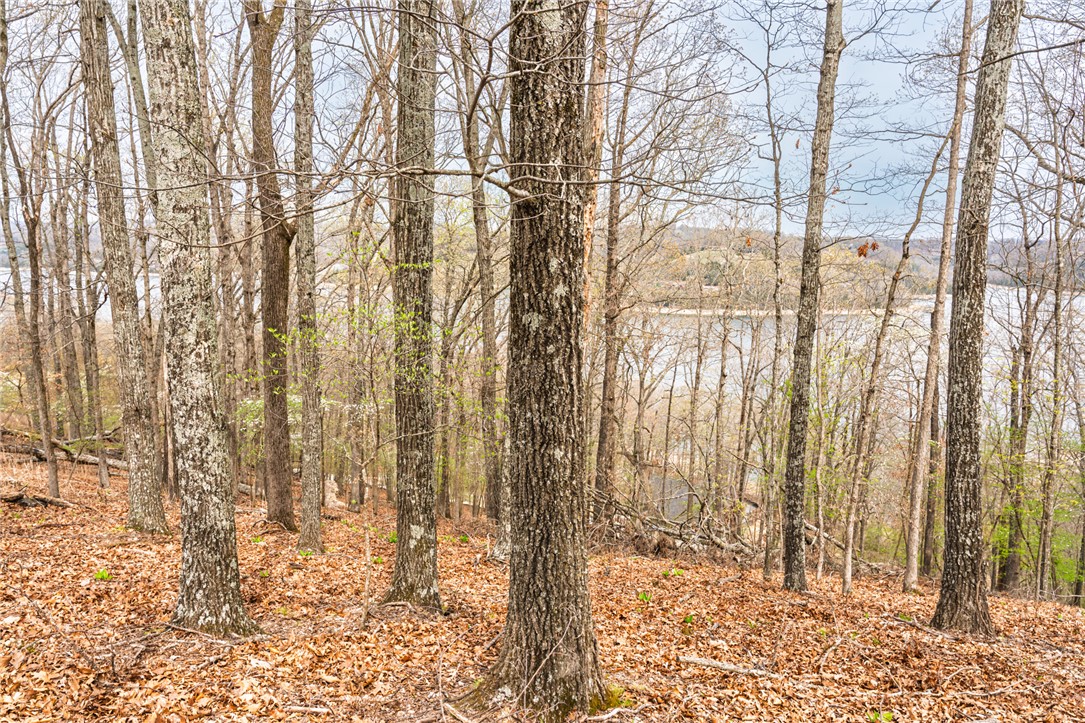 Oak Ridge Park Phase III - Land