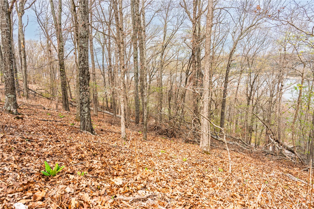 Oak Ridge Park Phase III - Land