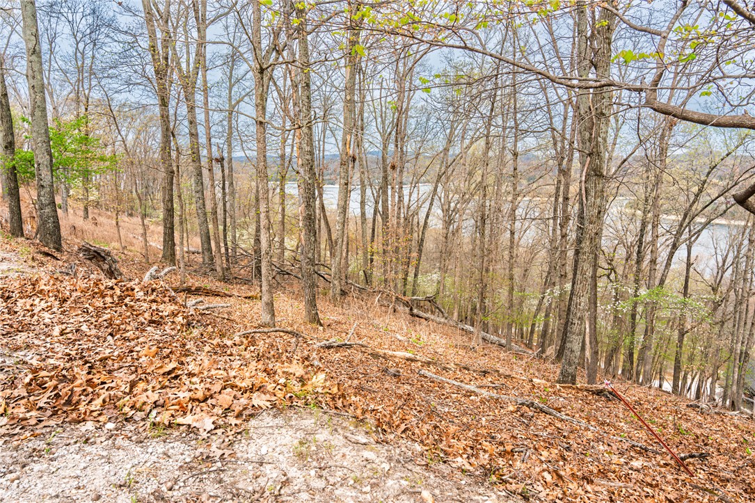 Oak Ridge Park Phase III - Land