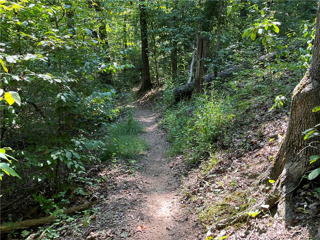 Back 40 Trails Directly Behind the Lot! Lot size: .34-acre, smooth transition onto the lot, paved street, near cul-de-sac, new construction along the street, Bentonville school district, Lake Brittany dam .8 miles, Lake Ann Trailhead 1.4 miles, Razorback Greenway 1.5 miles, Dogwood / Brittany golf course 1.6 miles, Metfield Recreation Area 1.4 (Outside Pool, Skateboard Park, Tennis / Pickle Ball Courts). Enjoy Amenities of Bella Vista POA Lot monthly fee $16 - allows access to (7) Lakes, (6) Golf Courses, (2) Outdoors Swimming Pools, (1) Indoors Swimming Pool, (3) Workout Centers, Tennis Courts, Pickleball Courts, Disc Golf, Gun Range, Golf Driving Range, Walking Trails, 100 Miles of Mountain Biking Trails, (1) Sandy Beach, Pro Golf Shops, Fishing Docks, and much more.