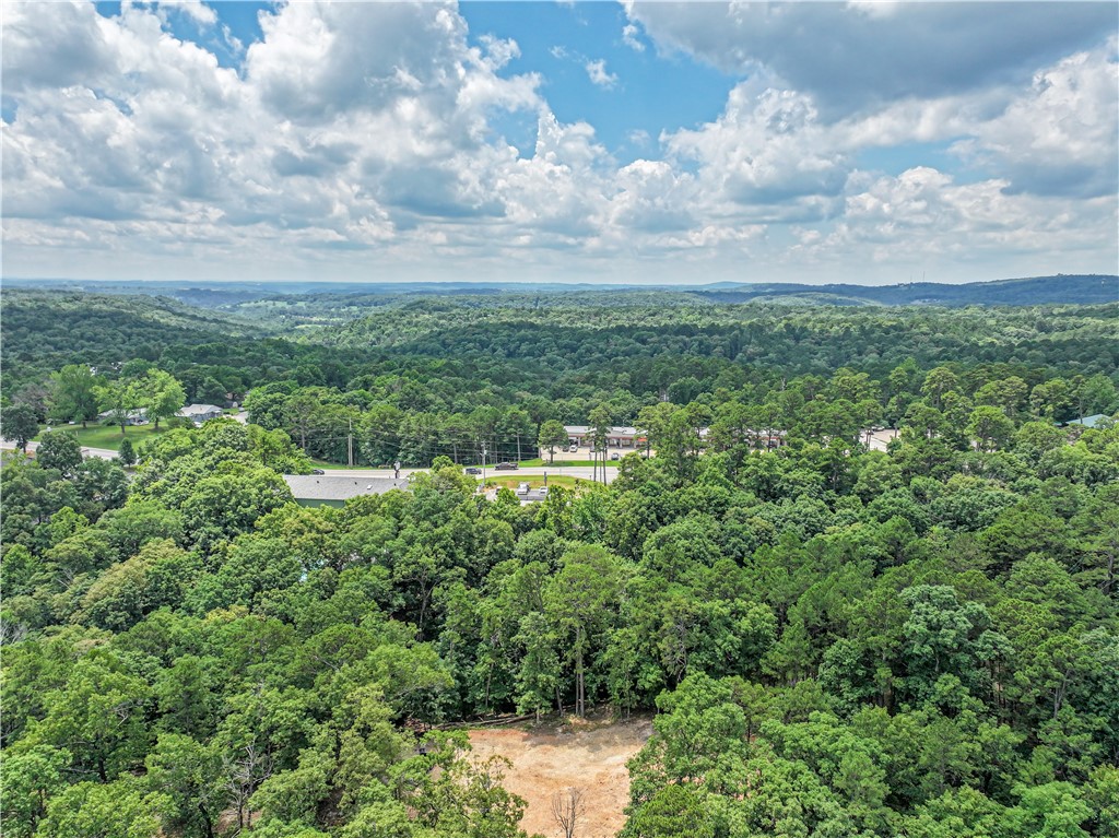 Eureka Spgs Outlots - Commercial Sale