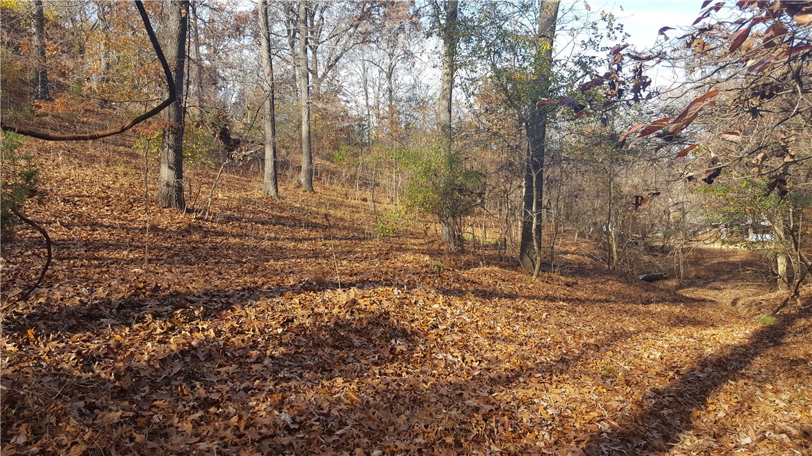 Close to lake - zoned residential up to 4 - a diamond in the rough - sloped on one side - high upside.