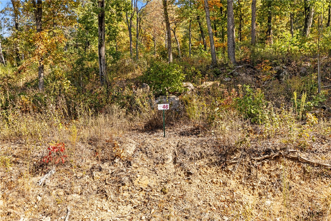Lot 46 is 1.50 m/l acres, has rolling topography, westerly views and unique rock features to landscape or incorporate into your build! Round Mountain Estates is a new, master planned, exclusive subdivision located 10 minutes west of Harrison, AR. The following utilities are already on site making the building process much easier for you; natural gas, fiber optic internet, electric, public water, and sewer. Interested in your family seeing the star lights instead of those city lights? RME is what you've been searching for! RME features a 350 +/- acre common area for its residents that includes a stocked fishing pond, Kissing Rock trail, natural springs to explore, Baby Canyon trail, incredible bluff lines to climb, and views for hundreds of miles that will not only take your breath away but will forever be etched in your memory! Neighborhood amenities coming soon.