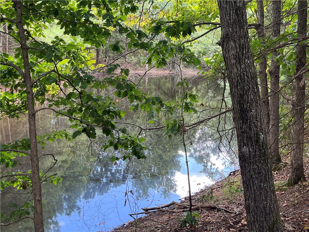 SOLD BEFORE PRINT! Level .33-acre lot, Unique lot with Pond behind lot in the POA common space, near to the Stoneykirk Park / Boat Launch onto Loch Lomond Lake, Branchwood Recreation Center .9 miles away, Highland Golf Course / Scotsdale Golf Course in the area, Scotsdale Overflow Mountain Bike Trailhead close by, Gravette School District. Enjoy Amenities of Bella Vista POA Lot monthly fee $16 - allows access to (7) Lakes, (6) Golf Courses, (2) Outdoors Swimming Pools, (1) Indoors Swimming Pool, (3) Workout Centers, Tennis Courts, Pickleball Courts, Disc Golf, Gun Range, Golf Driving Range, Walking Trails, 100 Miles of Mountain Biking Trails, (1) Sandy Beach, Pro Golf Shops, Fishing Docks, and much more.