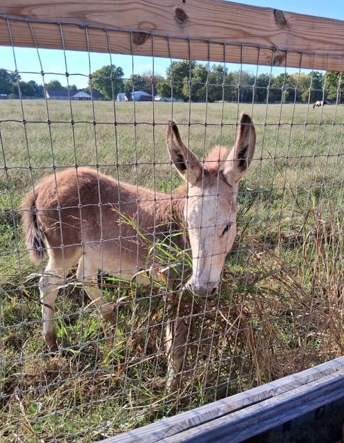 Mountain View Estates Sub - Residential
