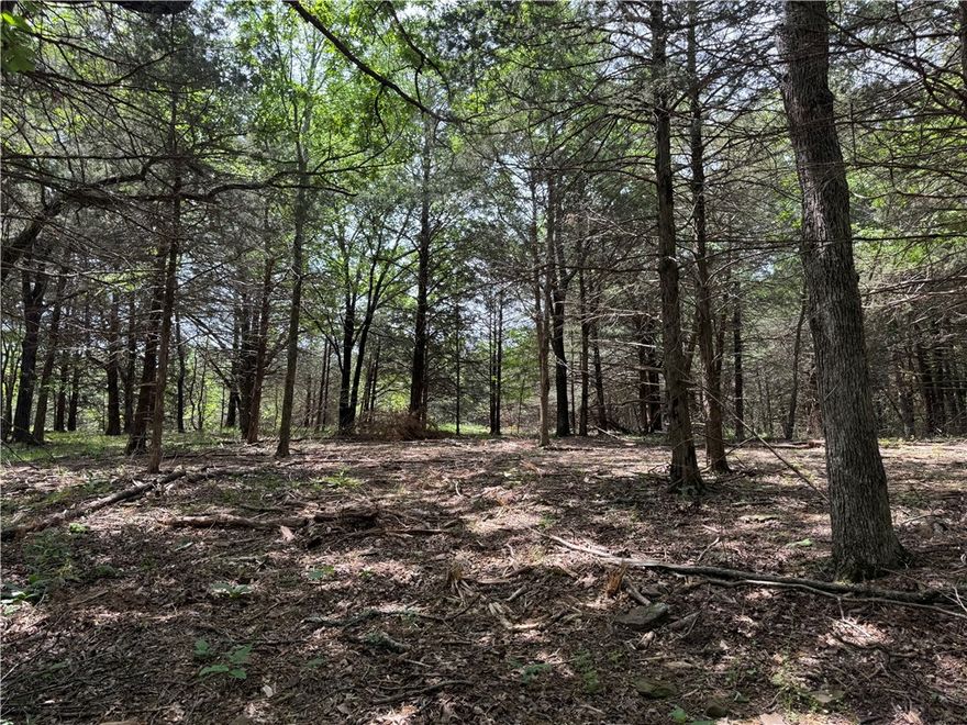 Escape to the peace and quiet of nature with this beautiful wooded property—perfect for your dream
home or a private hunting cabin. Nestled in a serene setting surrounded by mature trees and wildlife, this land offers the ideal backdrop for a weekend getaway, hunting retreat, or full-time country living. With plenty of space to roam, you’ll enjoy privacy, natural beauty, and endless possibilities to create your own retreat in the woods. Whether you’re looking to build a custom home, set up a hunting lodge, or simply enjoy the great outdoors, this property provides the perfect canvas