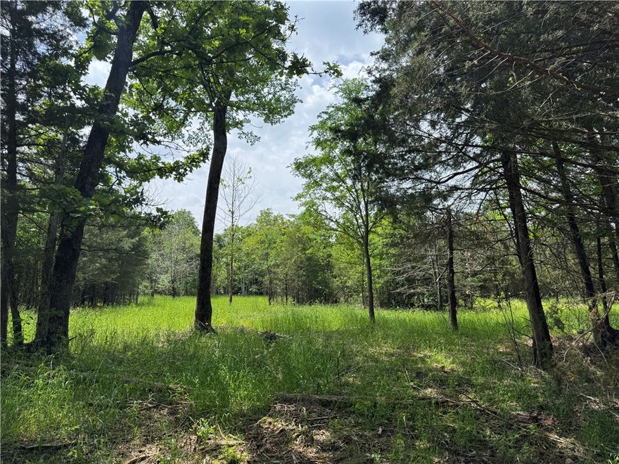 Escape to the peace and quiet of nature with this beautiful wooded property—perfect for your dream
home or a private hunting cabin. Nestled in a serene setting surrounded by mature trees and wildlife, this land offers the ideal backdrop for a weekend getaway, hunting retreat, or full-time country living. With plenty of space to roam, you’ll enjoy privacy, natural beauty, and endless possibilities to create your own retreat in the woods. Whether you’re looking to build a custom home, set up a hunting lodge, or simply enjoy the great outdoors, this property provides the perfect canvas