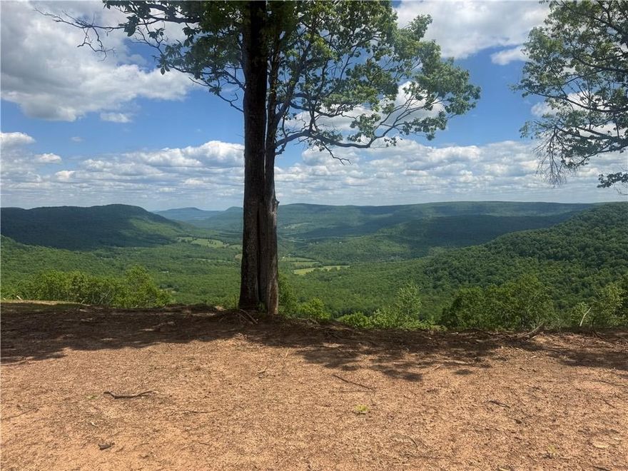 Stunning views of the Arkansas Grand Canyon  on this stunning 1.23 acre lot with easy access of of Hwy 7 in beautiful Jasper AR. Build your dream home, weekend retreat, or investment cabin! Near hiking trails, Buffalo National River, and Jasper square.