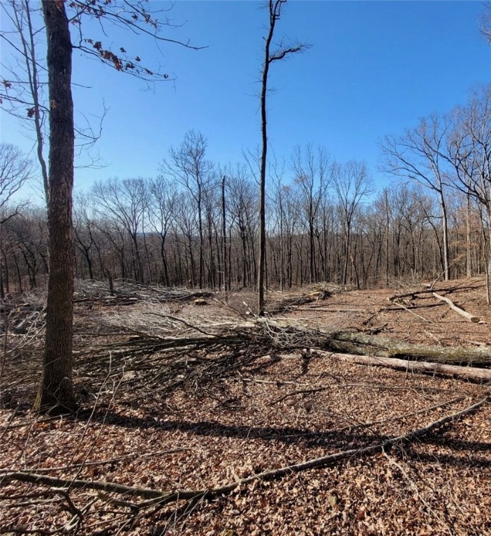 Goshen Outlots - Land