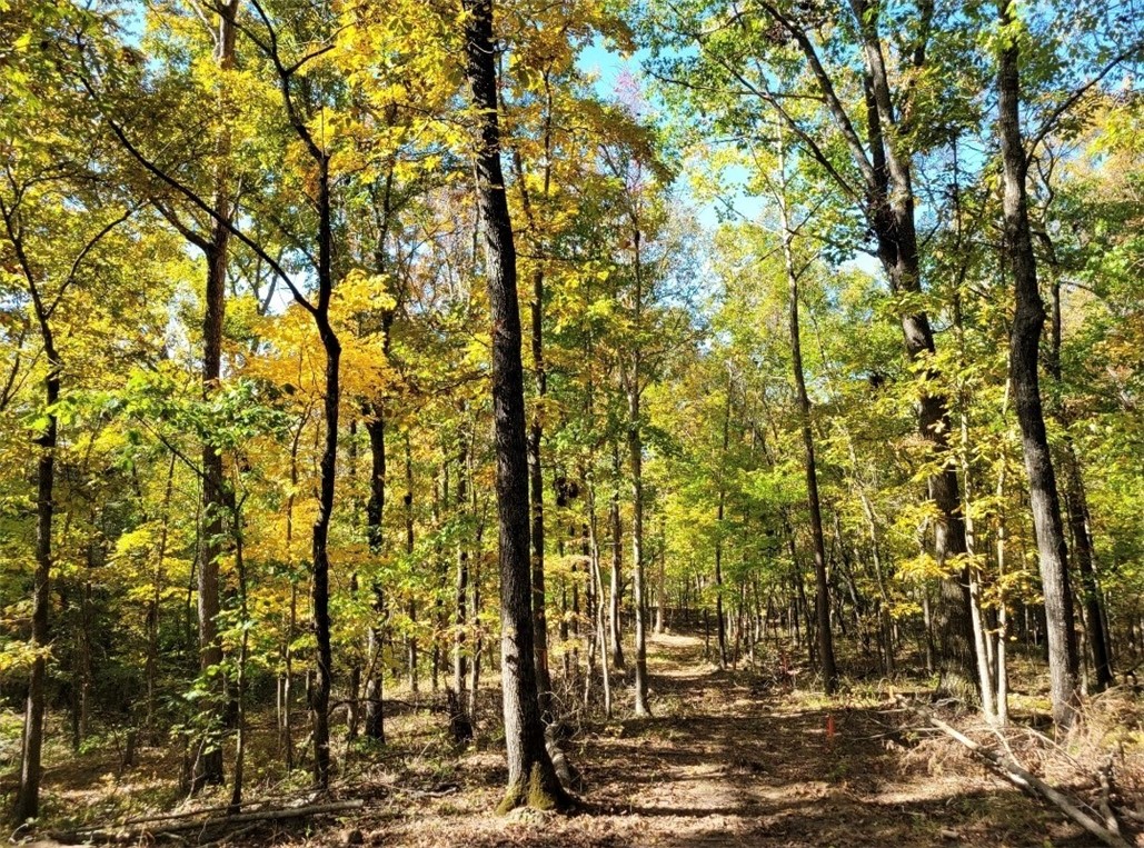 Goshen Outlots - Land