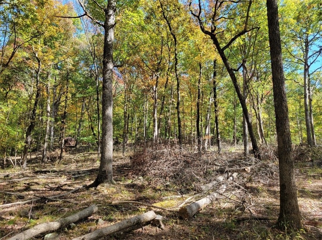BUILD YOUR DREAM HOME! Located through the desirable Knolls Subdivision, this wooded 10 acres +/- is just what you have been waiting for! Located less than 10 miles from East Fayetteville! Enjoy serene privacy, rolling hills, and all nature has to offer without giving up luxury as these lots are awarded Knolls Subdivision POA offerings such as the tennis court, community pool, poolhouse, and a pond! Pick one of the plateaus or clearings to set your roots and the remaining wooded acreage on the property perfect for adventurers and nature enthusiasts! POA Dues $750 per year. No Architectural guidelines applicable unless home is visible from the Knolls Subdivision.Don’t miss out on this opportunity! Act now!
