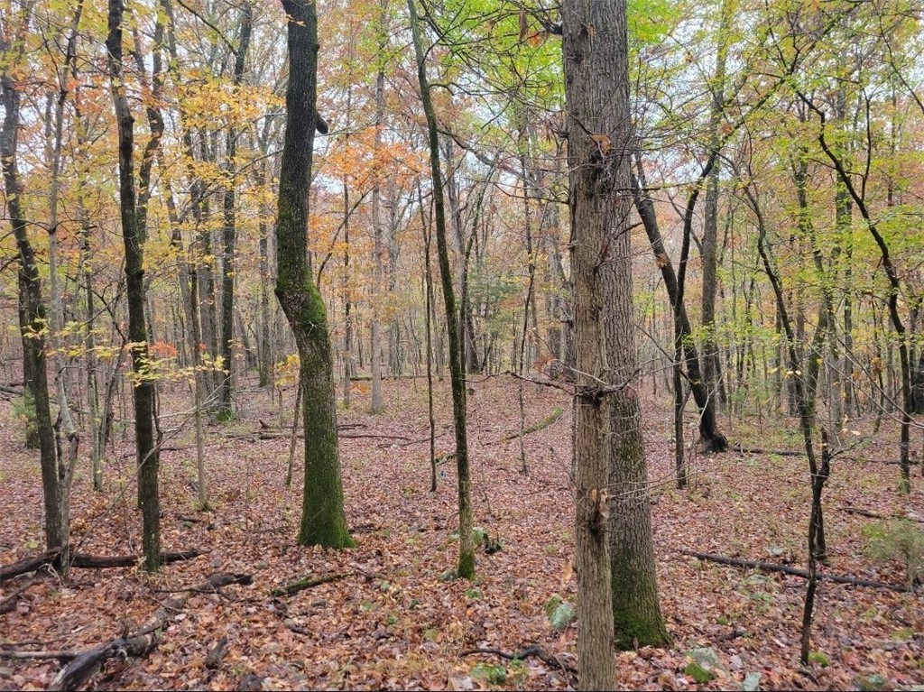 Goshen Outlots - Land