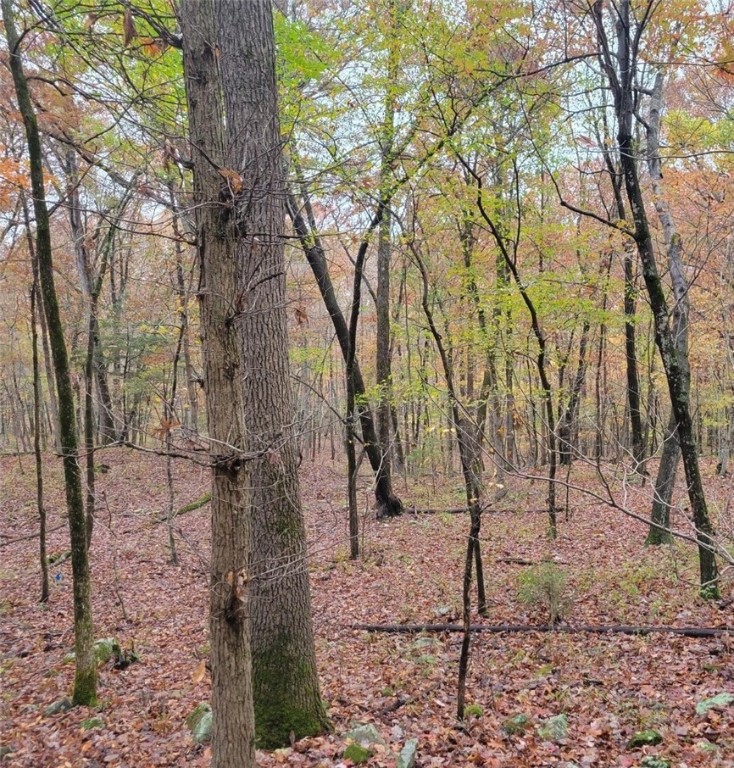 Goshen Outlots - Land