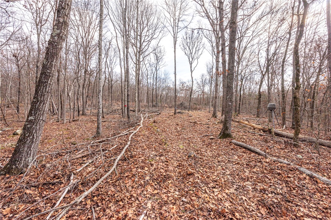 Goshen Outlots - Land