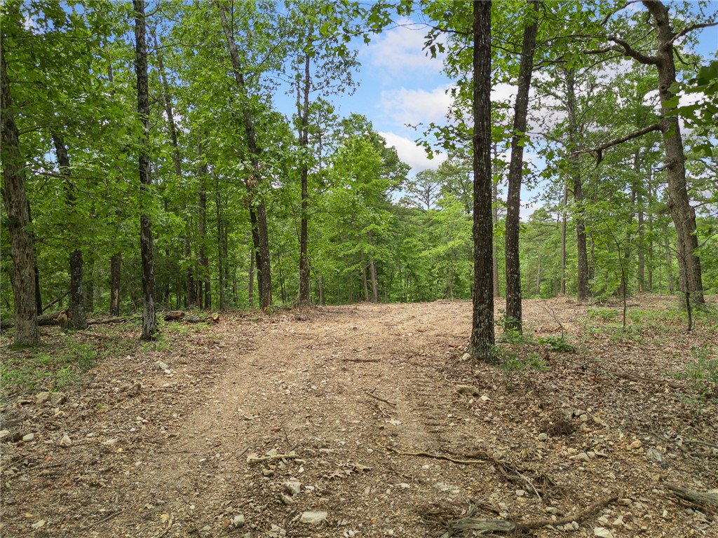 New WATER WELL just dug/installed on site! Electric is on site! Discover 10.216 m/l acres of prime land ready for your dream build! Perfectly situated just 25 minutes from Harrison and 20 minutes from Bull Shoals Lake, this beautiful property offers the best of both convenience and seclusion. A brand-new well is already in place, electric is on-site, and fiber optic internet is currently being installed. Surrounded by mature hardwoods and offering scenic views, this is the peaceful retreat you’ve been waiting for. Whether you're planning a forever home or a weekend getaway, this property checks all the boxes.