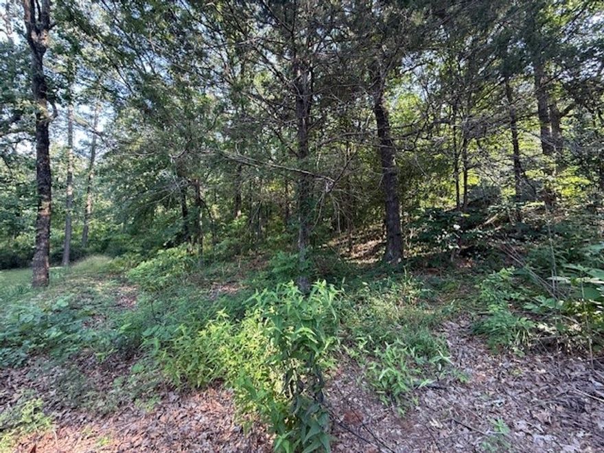 Build your NEW home on this private residential lot on a cul-de-sac just minutes from town, amenities- shopping, dining and healthcare within easy reach.