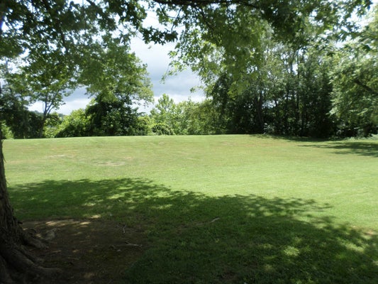 0 TOWNSHIP RD 1291, PROCTORVILLE, OH 45669 - Image 638d3e2f3cba12cf5049f73e052d1365/1543201657