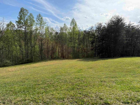 31 WALLACE DR, MILTON, WV 25541 - Image c9646f6b6b5d3f6e48d5ff9da1d9d8cc/2135806447